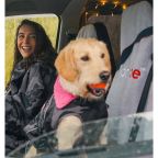 Dryrobe Water-Repellent Car Seat Covers - Single Seat Dryrobe Water-Repellent Car Seat Covers - Single Seat