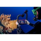 SeaLife Sea Dragon 3000F Colour Boost Photo-Video Light #SL681
