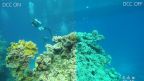 Paralenz Dive Camera+ Underwater Video Camera