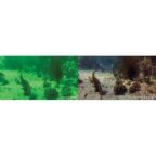 PolarPro GoPro Diving 3 Filter Pack For Hero4 / Hero3+