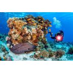 SeaLife Micro 3.0 Pro 3000 Colour Boost Bundle #SL555