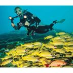 SeaLife Micro 3.0 Pro Duo 5000 Camera + Light Set