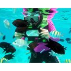 OverBoard Waterproof Large Phone Case - Compatible With All Smartphones OverBoard Waterproof Large Phone Case - Compatible With All Smartphones