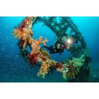 Sealife Ultra-Wide Angle Dome Lens - Micro 3.0 + ReefMaster RM-4K SL052