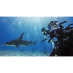 GoPro Hero13 + Hero12 Dive Housing - 60m Protective Housing GoPro Hero13 + Hero12 Dive Housing - 60m Protective Housing