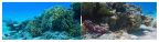 PolarPro Divemaster 3pk Filters - GoPro Hero9-13 Dive Housing
