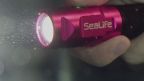 SeaLife Sea Dragon Mini 900S Power Kit SLKIT06 SeaLife Sea Dragon Mini 900S Power Kit SLKIT06