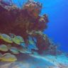 PolarPro GoPro Blue Water Red Filter For GoPro Super Suit Dive Housing