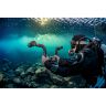 SeaLife Sea Dragon 5000+ Colour Boost Photo/Video Light #SL680
