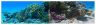 PolarPro Divemaster 3pk Filters - GoPro Hero9-13 Dive Housing