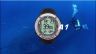 Scubapro Aladin A1 Dive Computer | Watch Style Computer