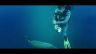 Citizen Promaster Aqualand Dive Watch With Depth Meter Citizen Promaster Aqualand Dive Watch With Depth Meter
