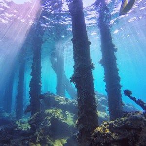 PolarPro GoPro Hero7 Hero6 & 5 Snorkel Filter PolarPro GoPro Hero7 Hero6 & 5 Snorkel Filter