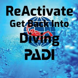 PADI ReActivate - Refresh Your Diving