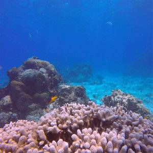 PolarPro GoPro Blue Water Red Filter For GoPro Super Suit Dive Housing