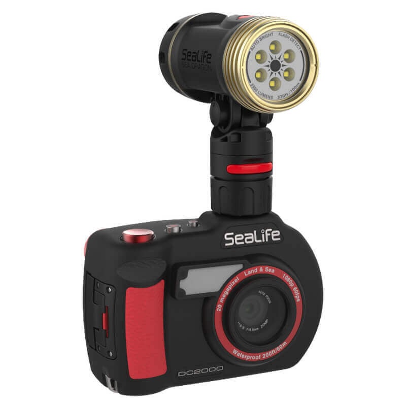 SeaLife Flex Connect Cold Shoe Mount