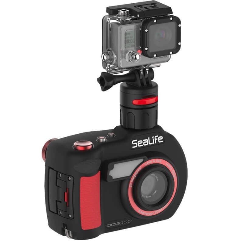 SeaLife Flex Connect Cold Shoe Mount