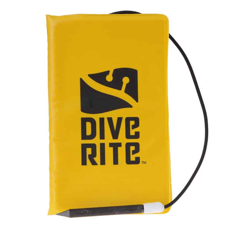 Dive Writes Dive Writes