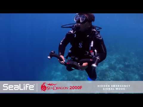 Sealife Sea Dragon 2000F Video + Photo + Dive Light