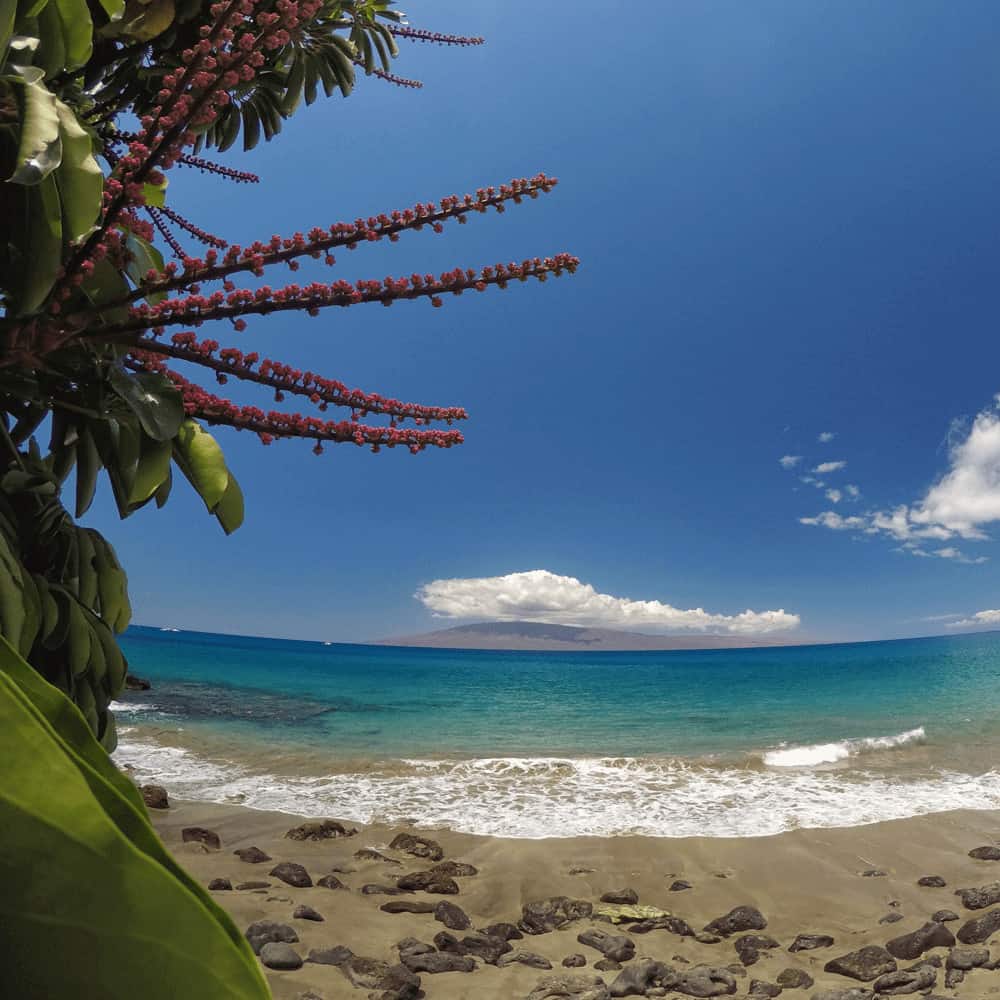PolarPro GoPro Polariser Filter For Hero7 Hero6 and Hero5 Cameras