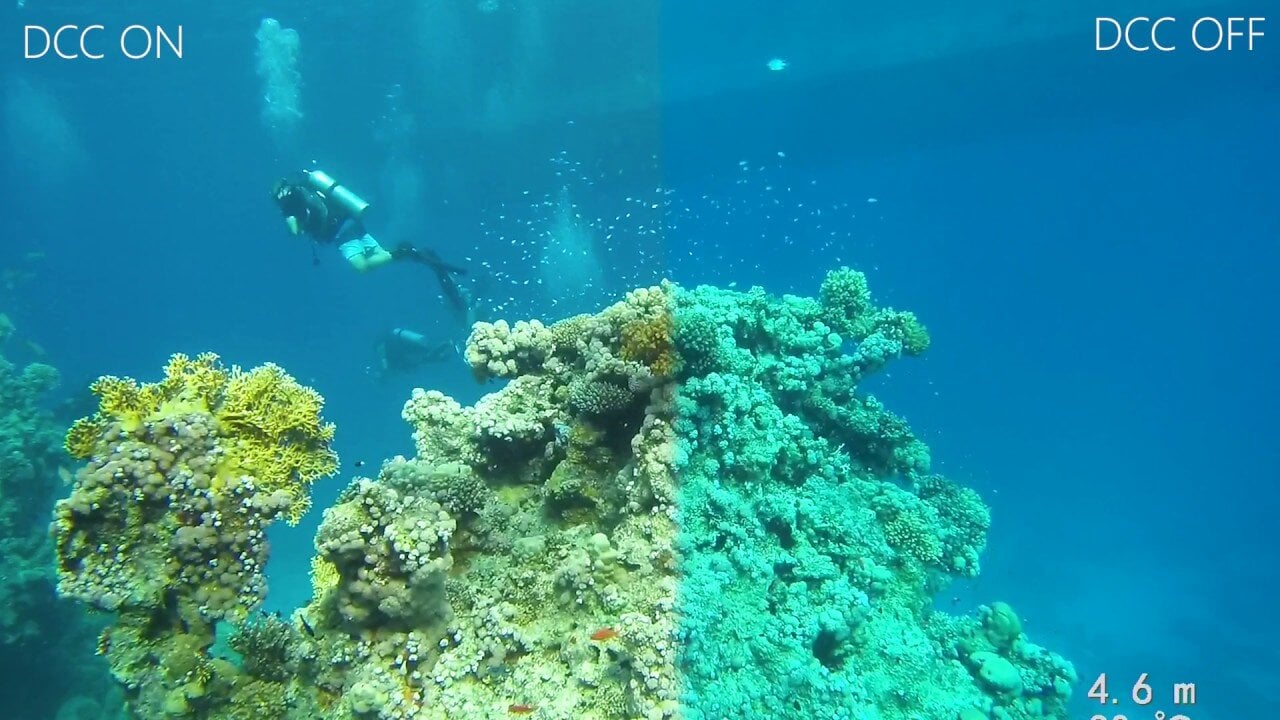 Paralenz Dive Camera+ Underwater Video Camera