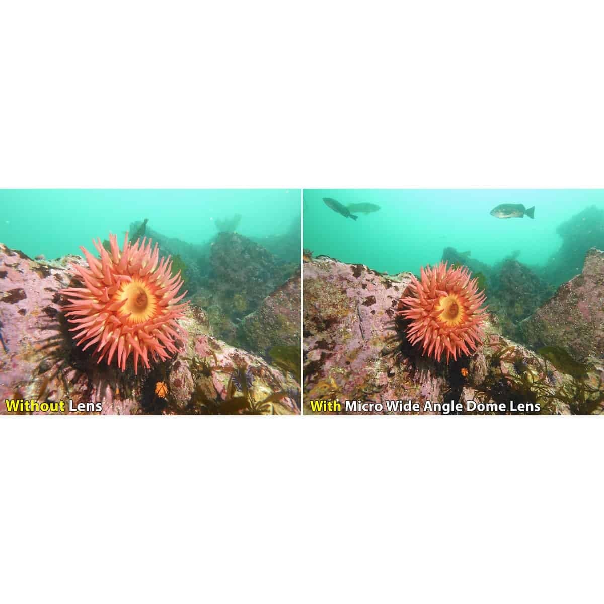 Sealife Ultra-Wide Angle Dome Lens - Micro 3.0 + ReefMaster RM-4K SL052