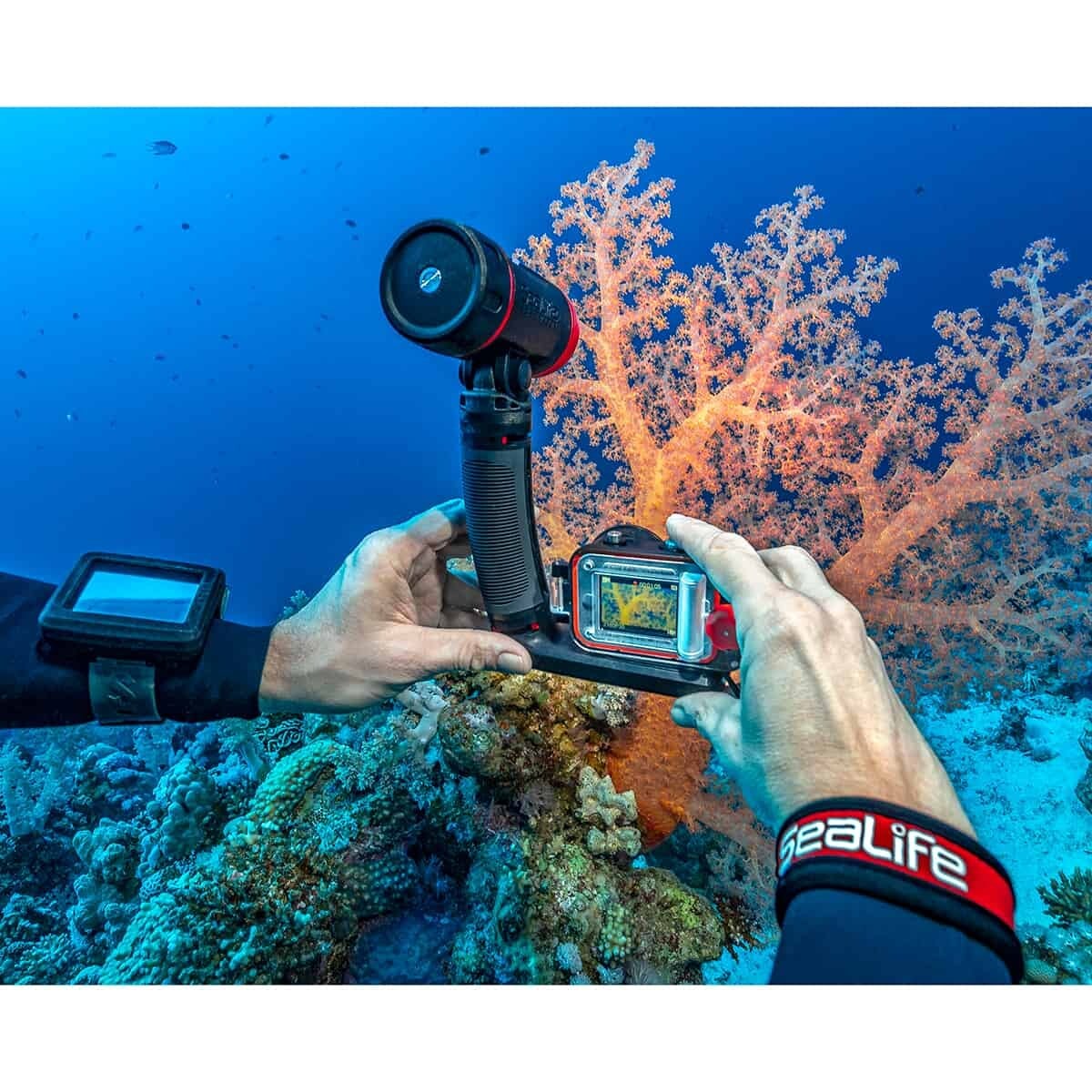 SeaLife ReefMaster RM-4K Pro 2000 Set SL354