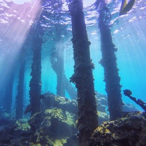 PolarPro GoPro Hero7 Hero6 & 5 Snorkel Filter