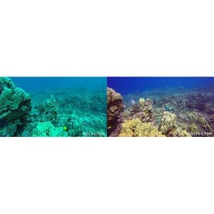 PolarPro GoPro Diving 3 Filter Pack For Hero4 / Hero3+