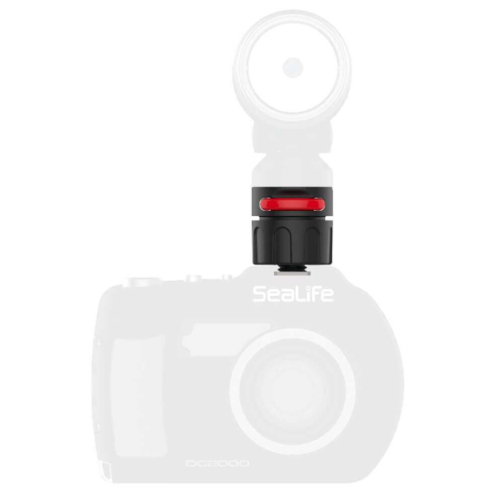 SeaLife Flex Connect Cold Shoe Mount