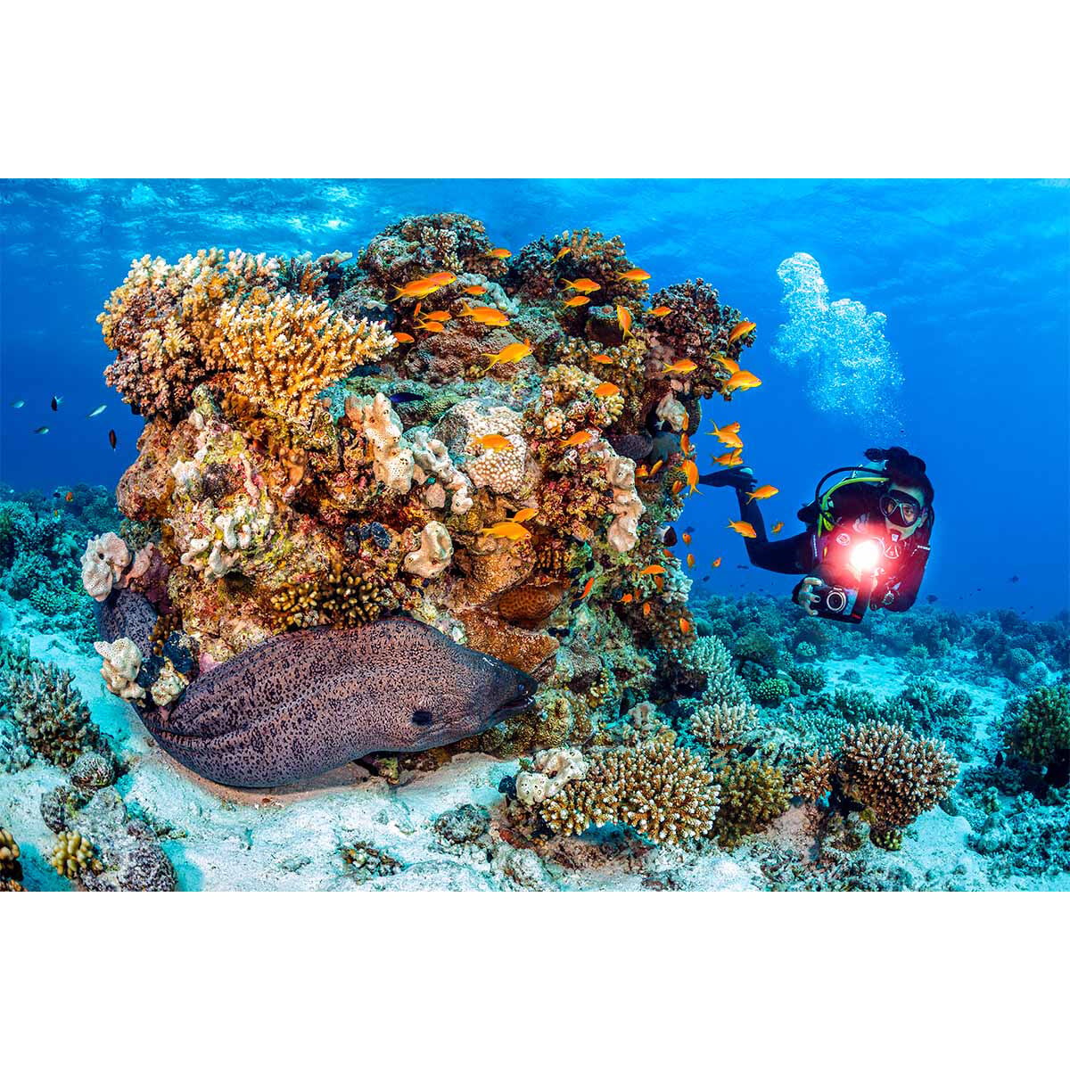 SeaLife Micro 3.0 Pro 3000 Colour Boost Bundle #SL555