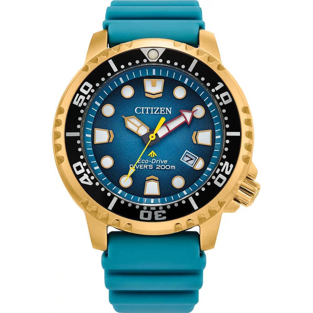 Citizen Promaster Diver Watch - Eco-Drive BN0162-02X
