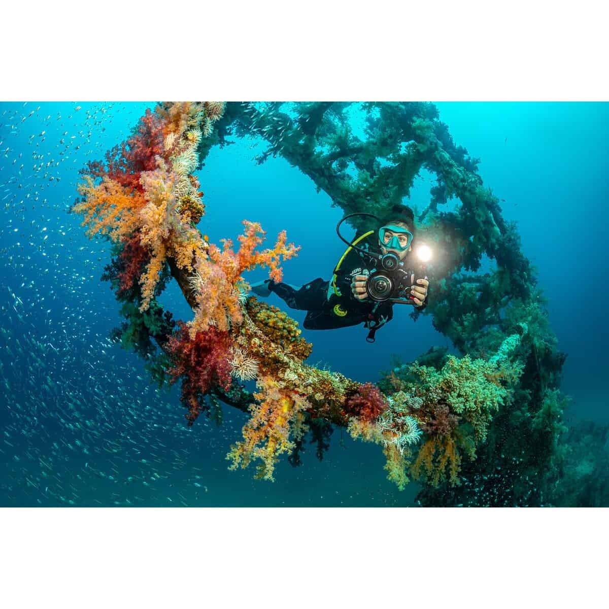 Sealife Ultra-Wide Angle Dome Lens - Micro 3.0 + ReefMaster RM-4K SL052