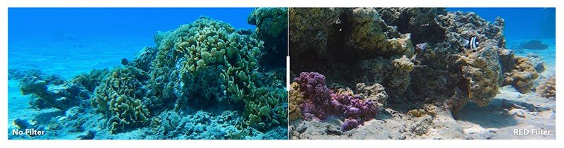 PolarPro Divemaster 3pk Filters - GoPro Hero9-13 Dive Housing